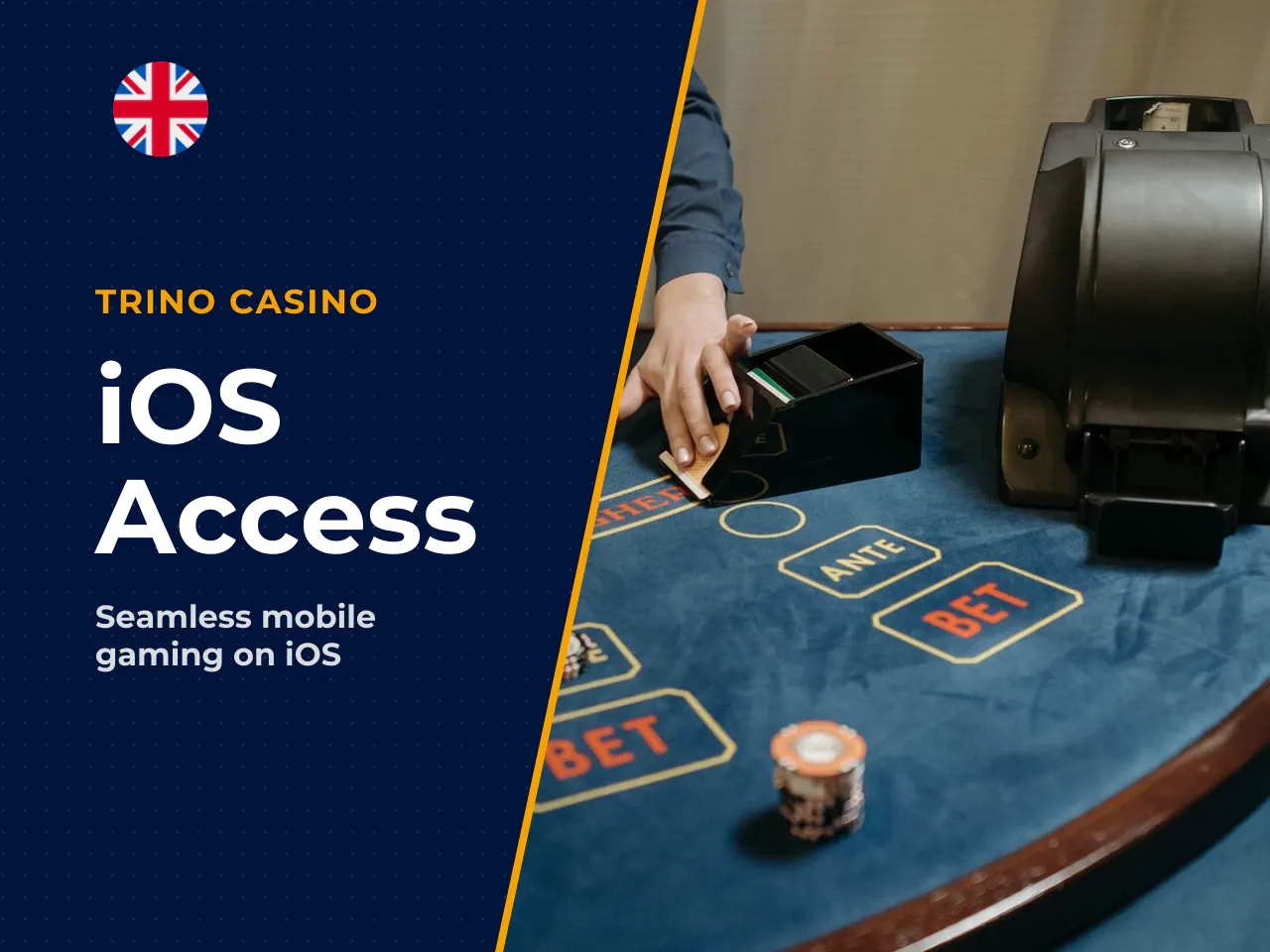 Access via iOS Devices. iPhone and