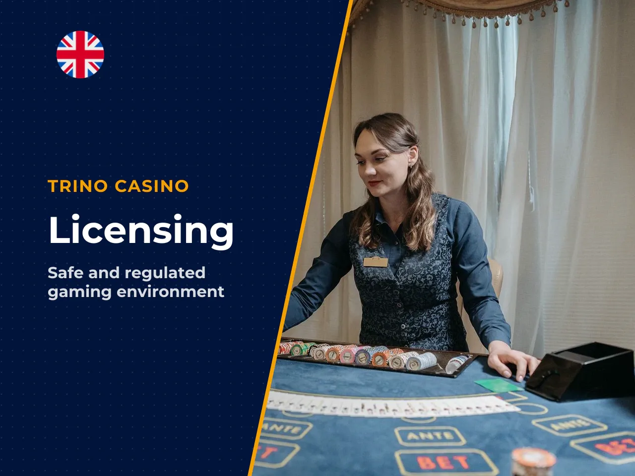 Legal Status, Operator and Licensing Framework